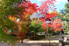 紅葉散歩(興聖寺)