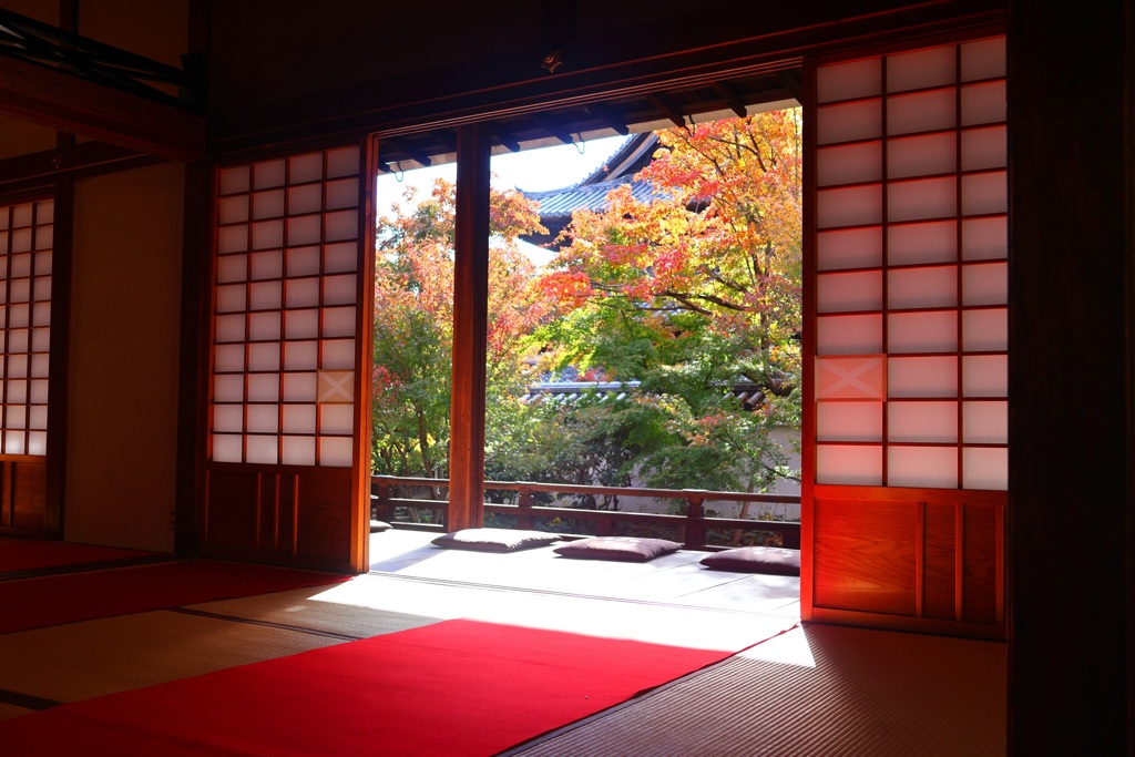 紅葉散歩(興聖寺-3)