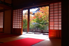 紅葉散歩(興聖寺-3)