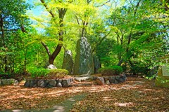 紅もゆる丘の花(吉田2021)