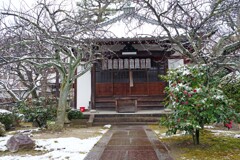 雪の日(本満寺2018)