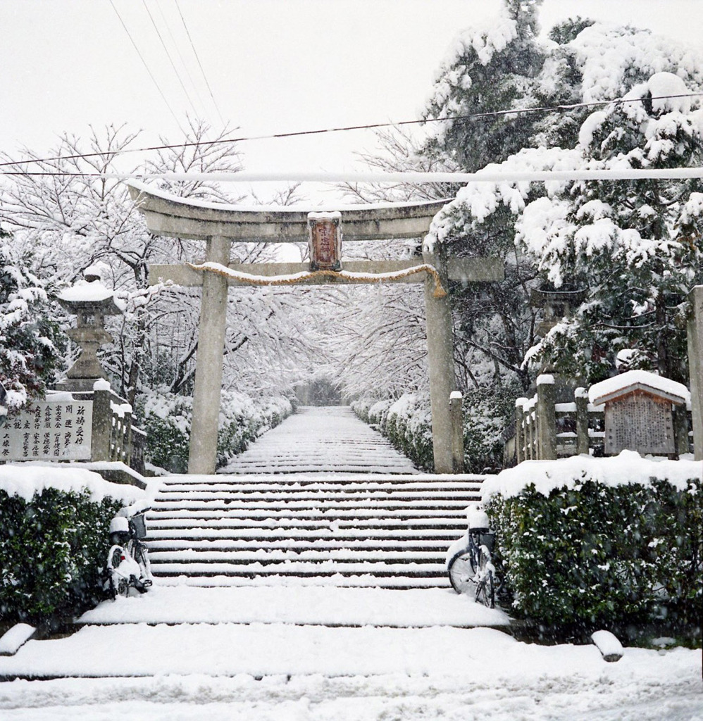 雪の日(宗忠神社)