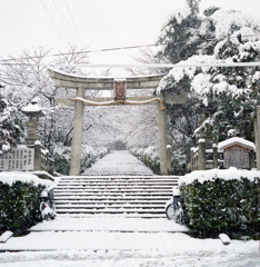 雪の日(宗忠神社)