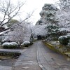 雪の日(真如堂2020)