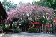 水火天満宮2019