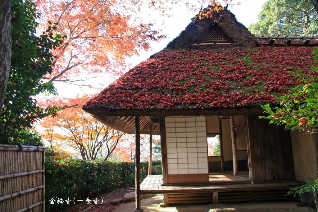秋の散歩道(金福寺芭蕉庵)