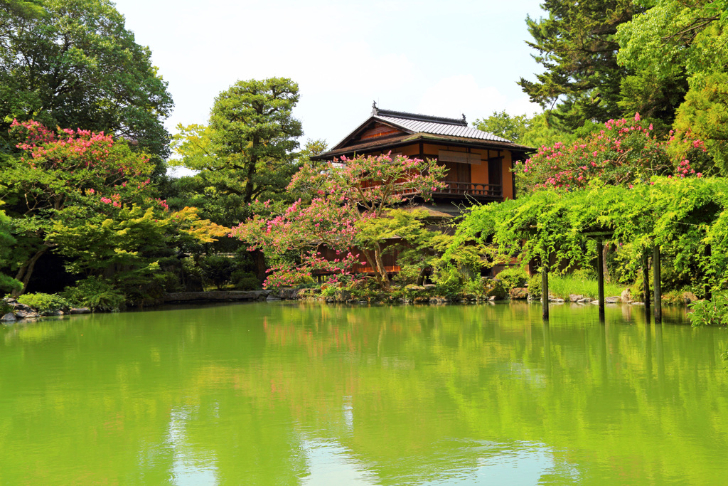 九条池(京都御苑)