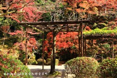 金剛輪寺2016