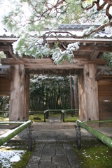 冬景色(大徳寺2011)