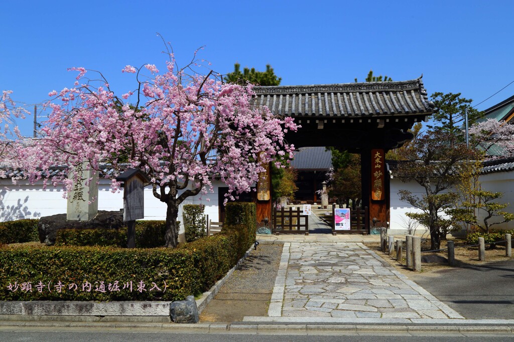 妙顕寺18-0331