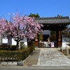 妙顕寺18-0331