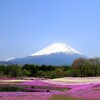芝桜公園(富士)