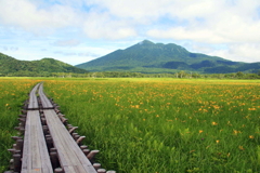 夏の思い出(尾瀬ケ原)