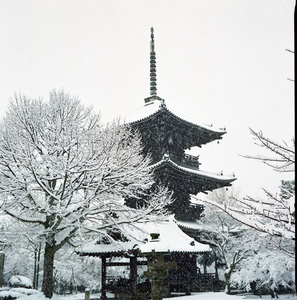 雪の日(真如堂)