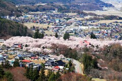 高遠2011