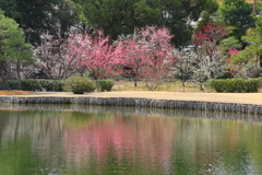 渉成園-5