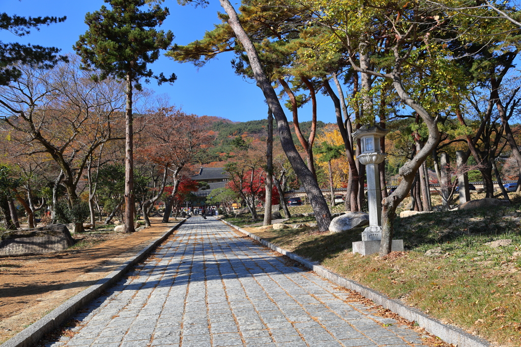 Korea紀行(釜山梵魚寺)