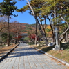 Korea紀行(釜山梵魚寺)