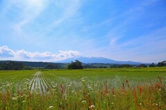 象潟(九十九島と鳥海山)