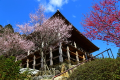 石山寺2016