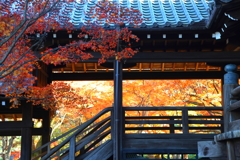 廊下越しの紅葉(真如堂-3)