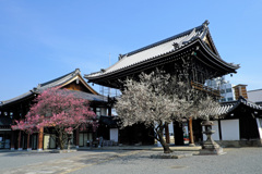 興正寺2022