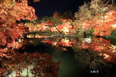 秋の散歩道(永観堂)
