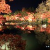 秋の散歩道(永観堂)