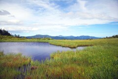 夏の思い出(尾瀬燧ケ岳-熊沢田代)
