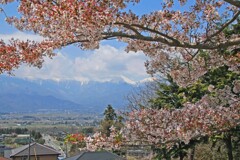 光城山2014-2