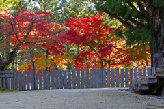 高野山2016-2