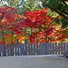 高野山2016-2