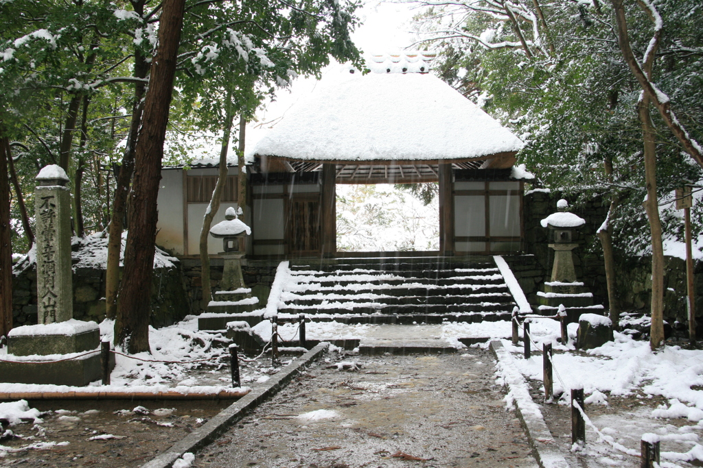 雪の日(法然院2015)