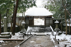 雪の日(法然院2015)