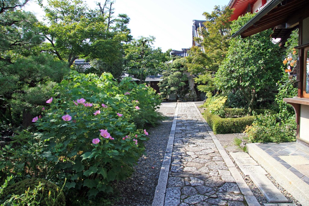 法輪寺(達磨寺2013)