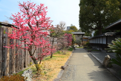 渉成園