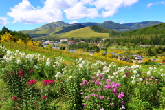 吹く風は秋(白樺湖)