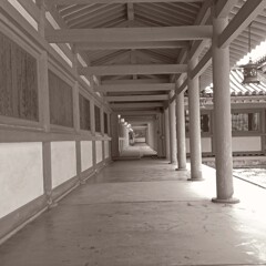 トイカメラ(平安神宮)