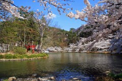 臥竜公園2014
