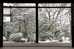 雪の日(本法寺巴の庭)