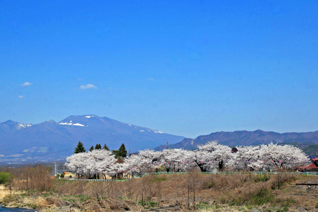 佐久の春2014