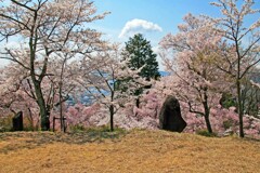 水月公園2014-2