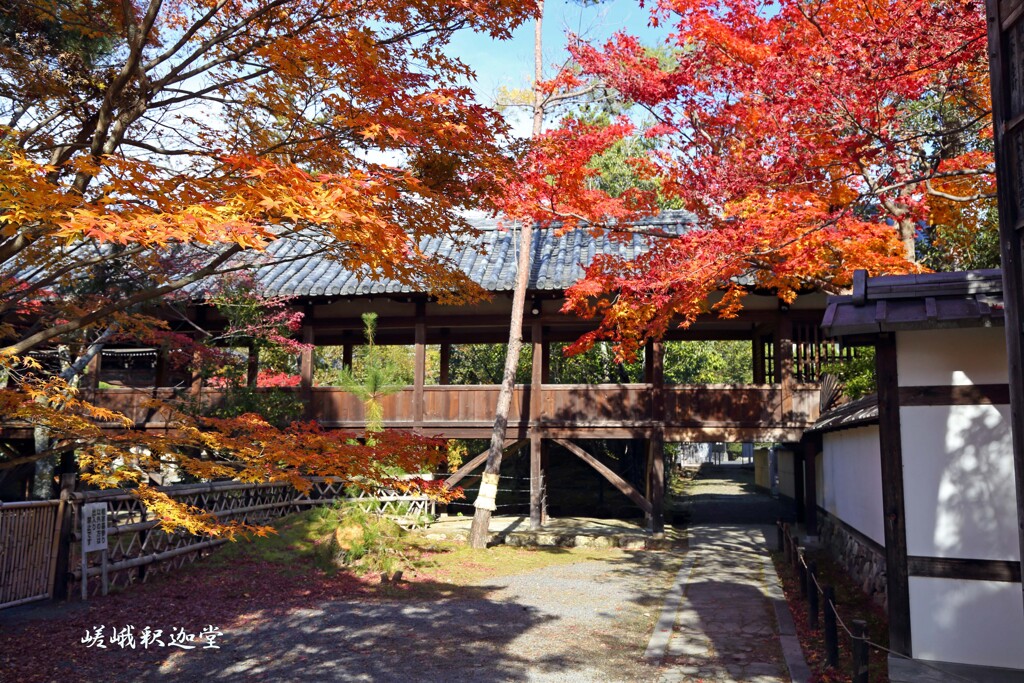 秋の散歩道(清涼寺)