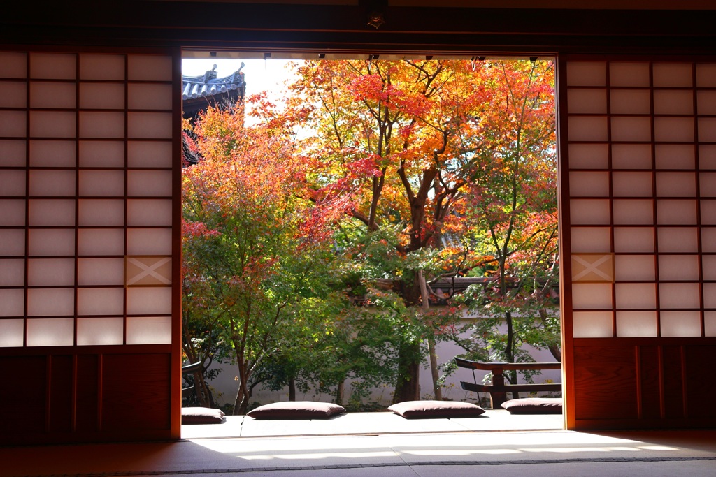 紅葉散歩(興聖寺-4)