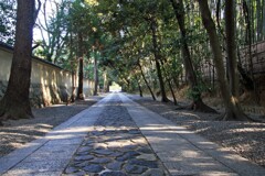 大徳寺にて