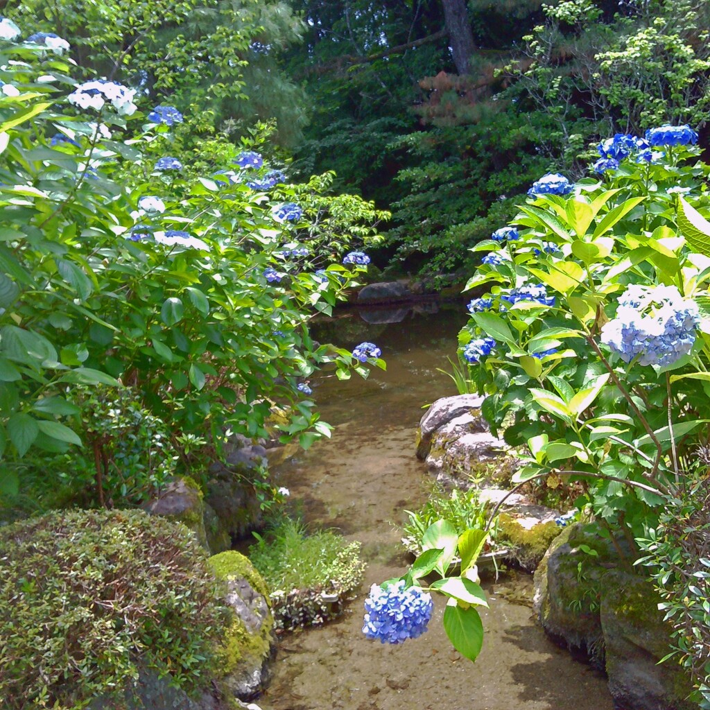 神苑(平安神宮)