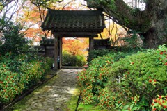 大垣園興寺2015