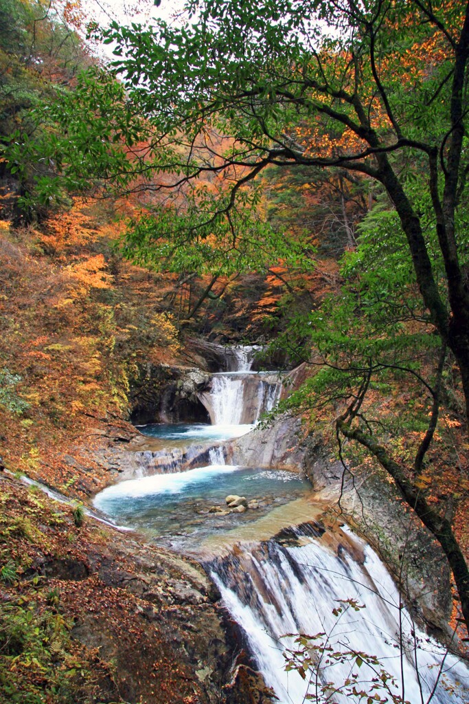 西沢渓谷2007