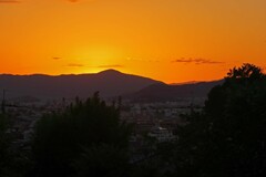 夕暮れ散歩
