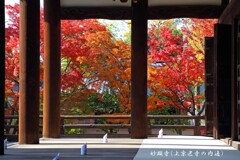 秋の散歩道(妙顕寺)-2